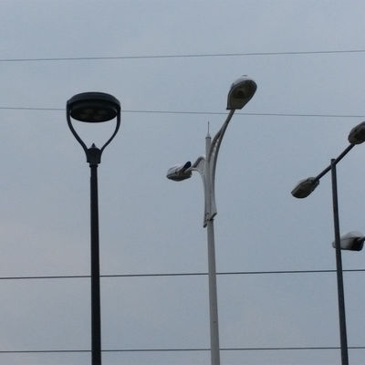 130lm/w 90W Aluminio Polla impermeabile LED Giardino Paesaggio Luce per l'illuminazione esterna