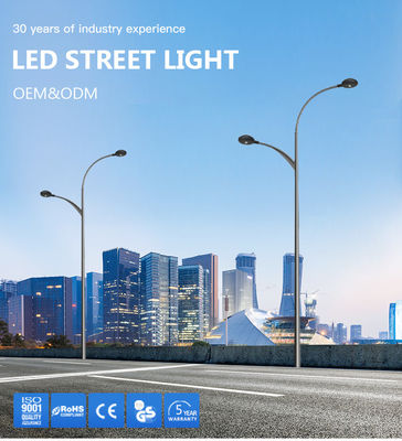 Cassa in alluminio a fusione a stampa resistente alle intemperie IP65 IP66 40W luci stradali a LED per autostrada