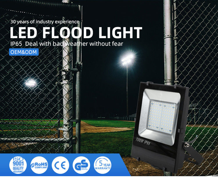 100W di luce all'aria aperta LED IP65 impermeabile con sensore 6500K 10000Lm luce di sicurezza luce bianca